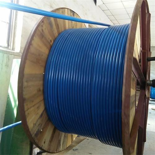 CXV92/DA船用電力電纜