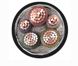 17233603599284.png image.png