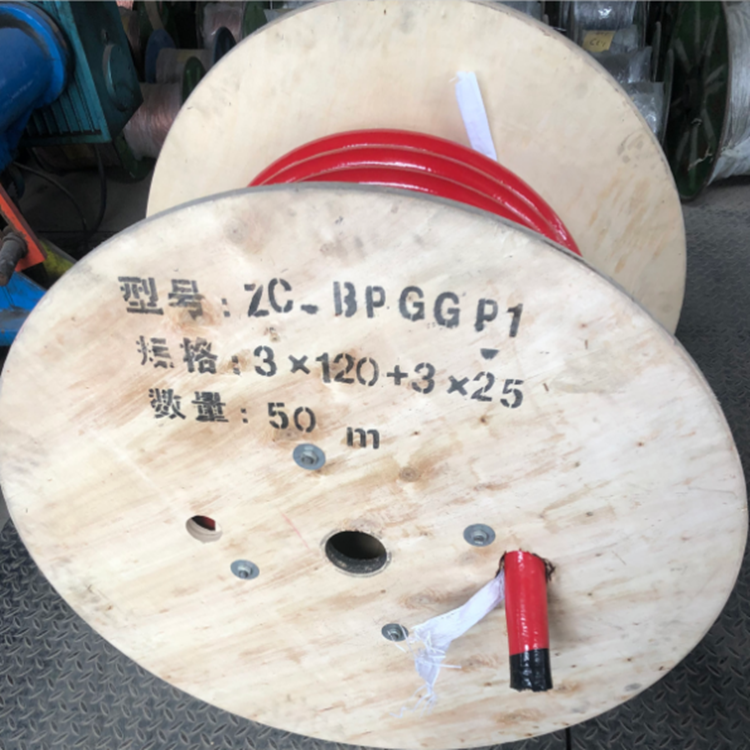 BPGGP變頻電力電纜