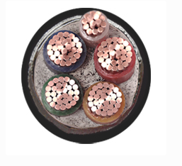 17260200171358.png image.png