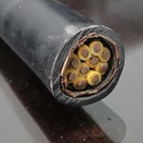 WDZ-KYJYP2低煙阻燃控制電纜