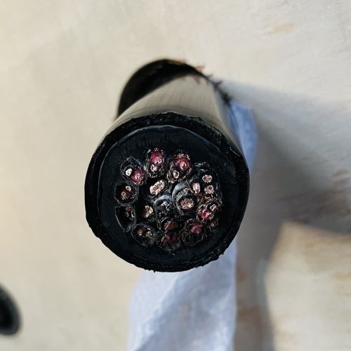 17338858105498.jpg 17198789376694.jpg