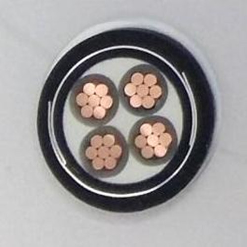 WFYS-YJY53防蟻鼠聚烯烴護(hù)套電力電纜