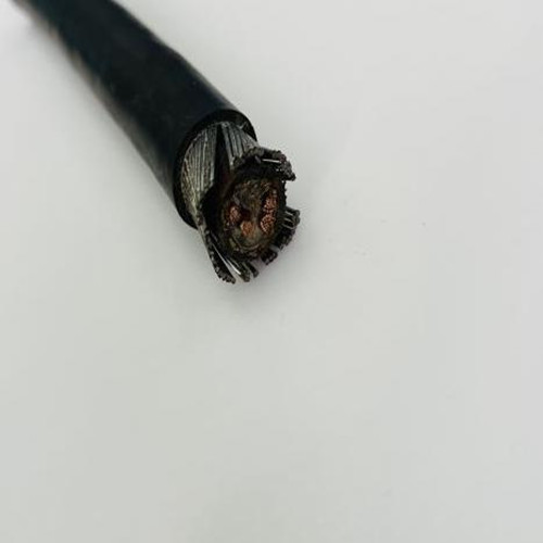 RVVYP22 3*2.5屏蔽電纜