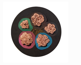 17399479766306.png image.png