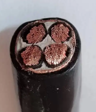 17723294613705.png image.png